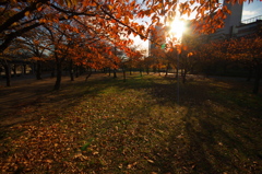 大阪城公園の朝