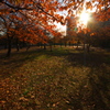 大阪城公園の朝