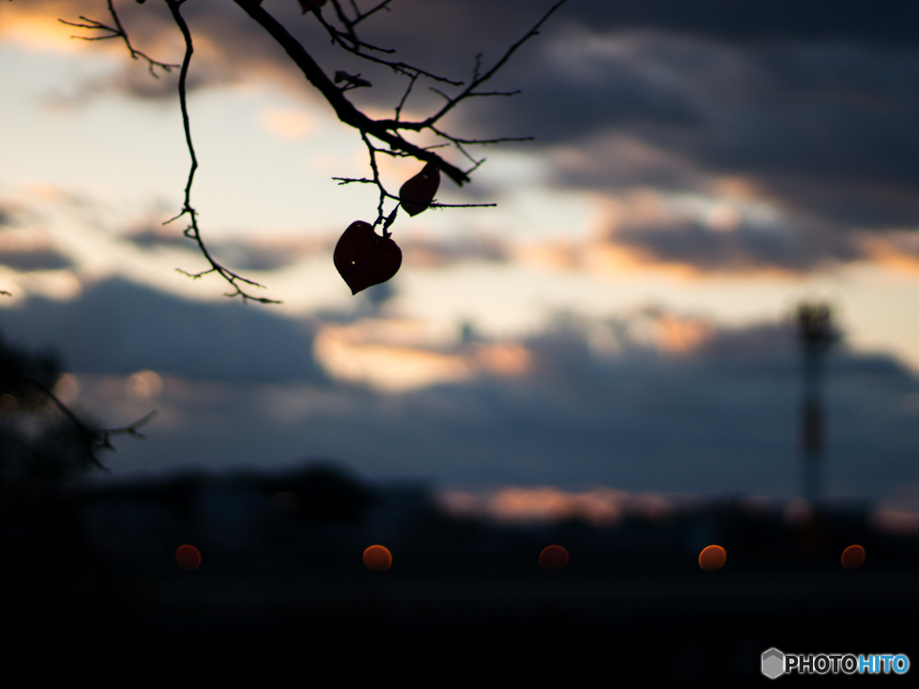 古室山古墳その2<3>