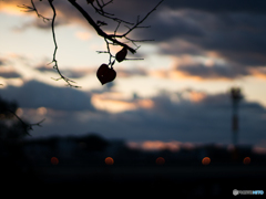 古室山古墳その2<3>