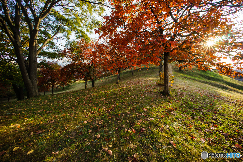 古室山古墳の紅葉<3>