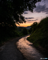 夕暮れ時の景色