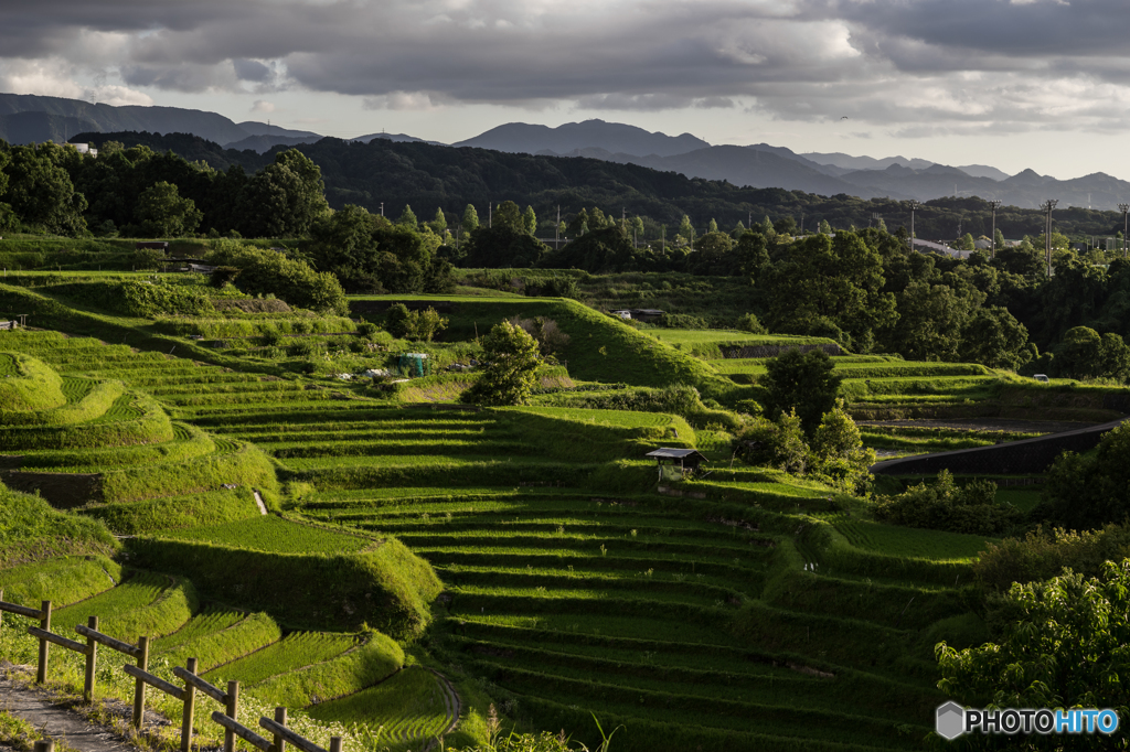 下赤坂の棚田風景<2>
