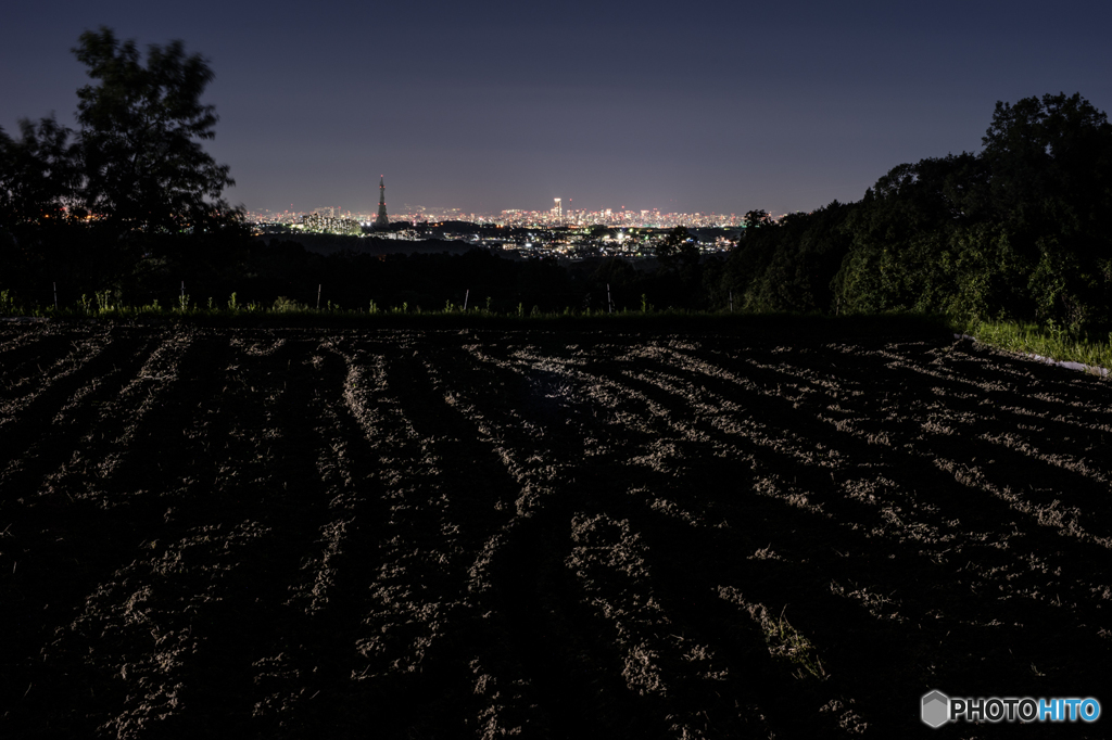 棚田夜景<2>