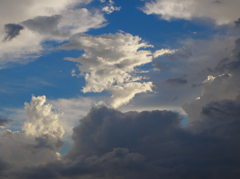 The 雲