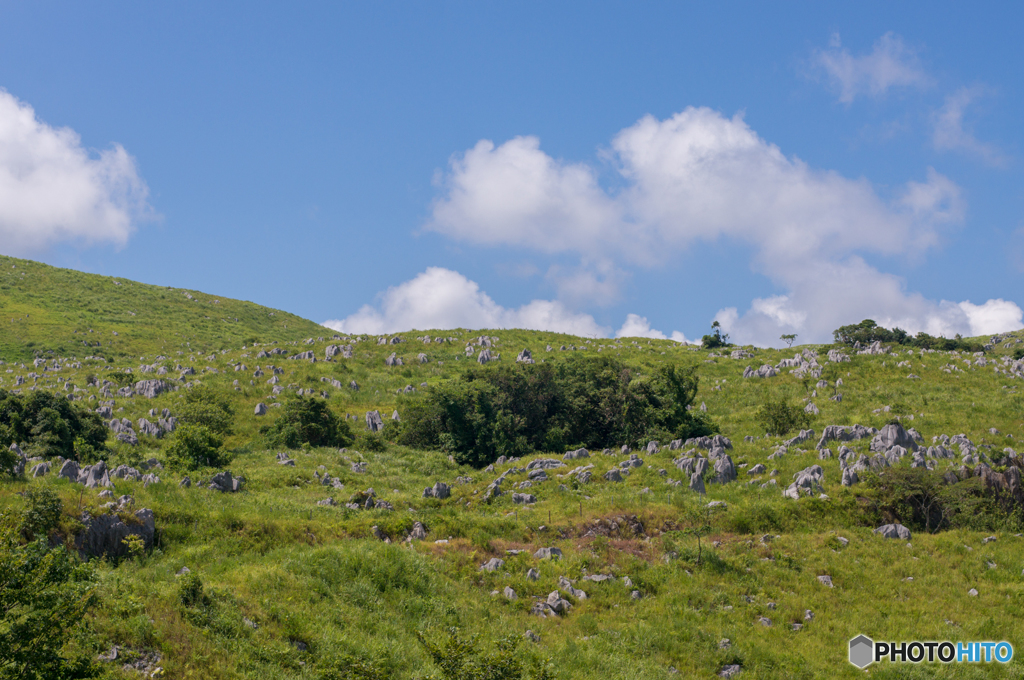 秋吉台の風景<12>