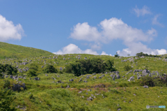 秋吉台の風景<12>