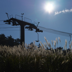 大山の秋<その7>　もうすぐ出番