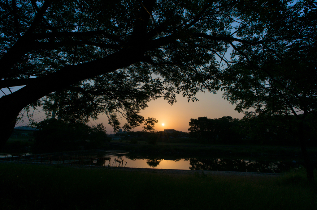 樹と川と夕日と<1>