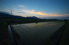 夕空と田んぼ