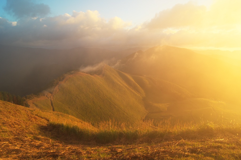 曽爾高原<その12>　まぶしい！