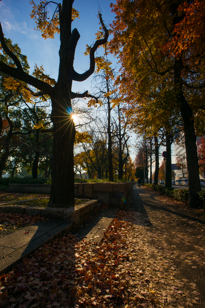 大阪城公園の朝<4>