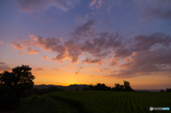 本日の夕焼け(20150815)<換算15mm>