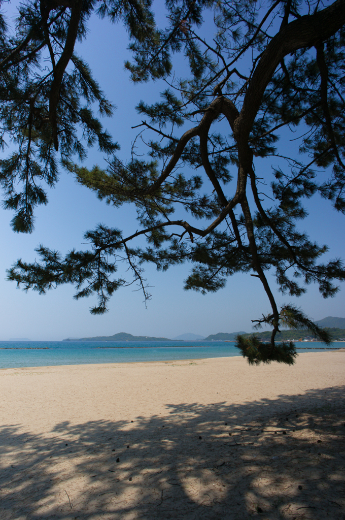萩の海<2>