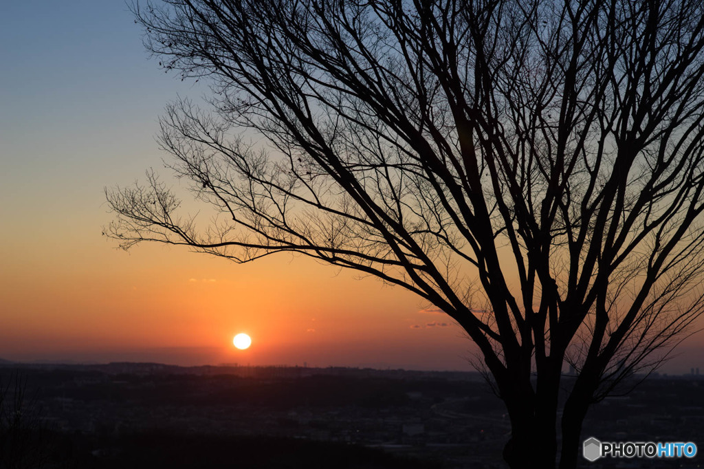 本日の夕日(20160109)