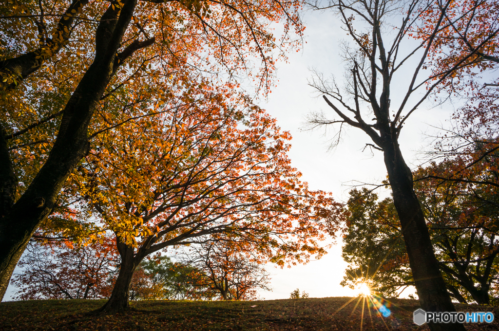 古室山古墳の紅葉<2>