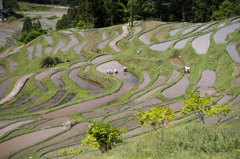 丸山千枚田<1>