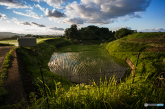 下赤坂の棚田風景<5>