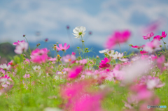 君にロックオン