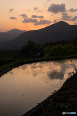 丸山千枚田の風景<11>