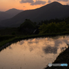 丸山千枚田の風景<11>