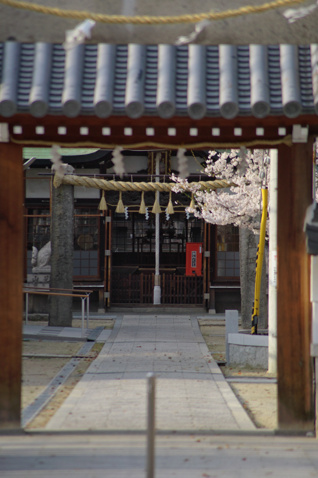 阿麻美許曽神社　寄りで