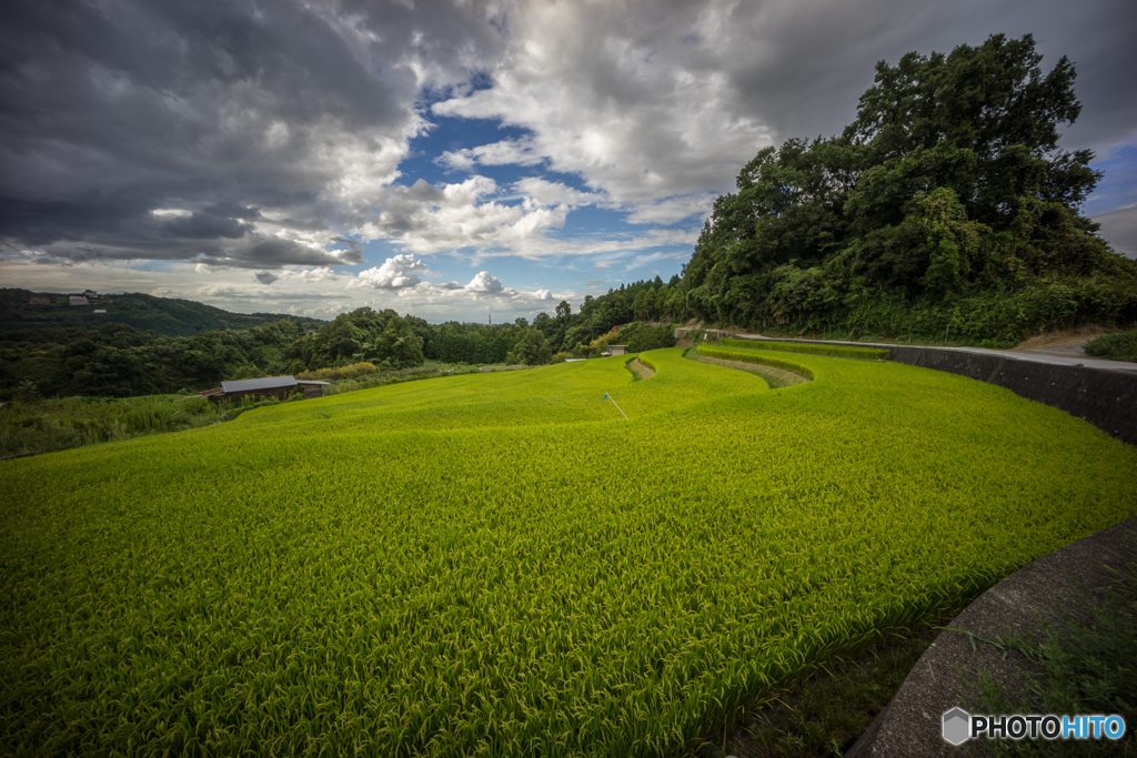 下赤坂棚田風景<3>