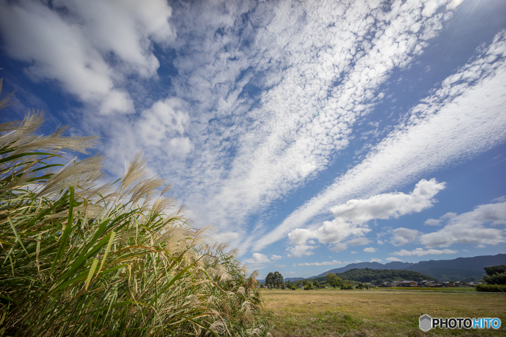 藤原宮跡の秋 午前の部<4>