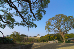 広角初撮り