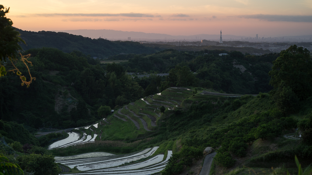 棚田<夕暮れ>