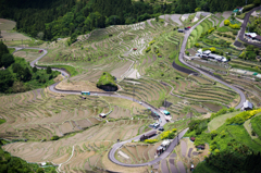 丸山千枚田展望台からの眺め<2>