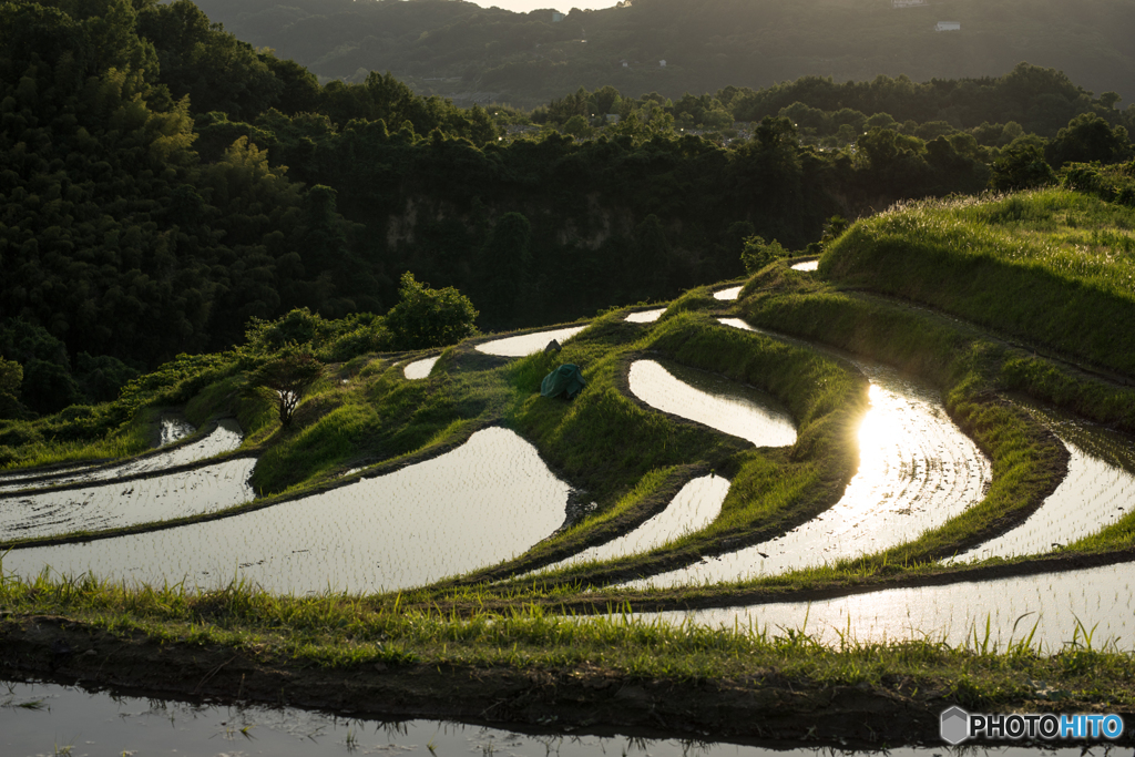 棚田の水風景<2>