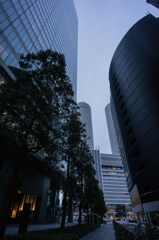 朝の摩天楼