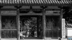 穴太寺<1>