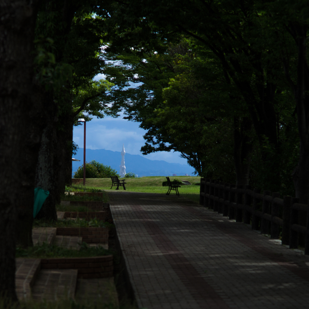 木陰のトンネル