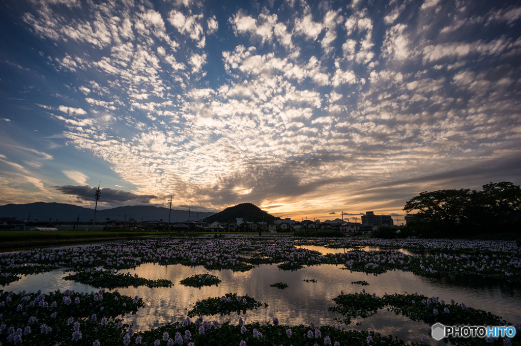 畝傍山夕景