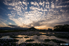畝傍山夕景