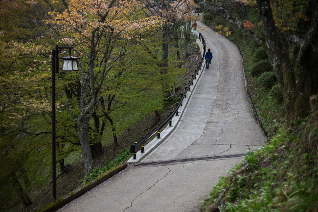 吉野の道