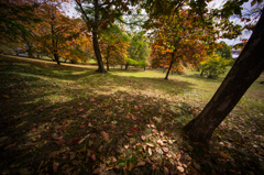 古室山古墳の紅葉<8>