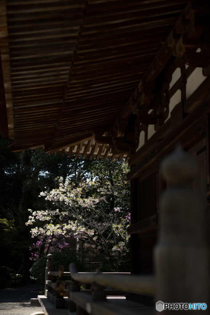 石山寺<5>