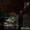 石山寺<5>