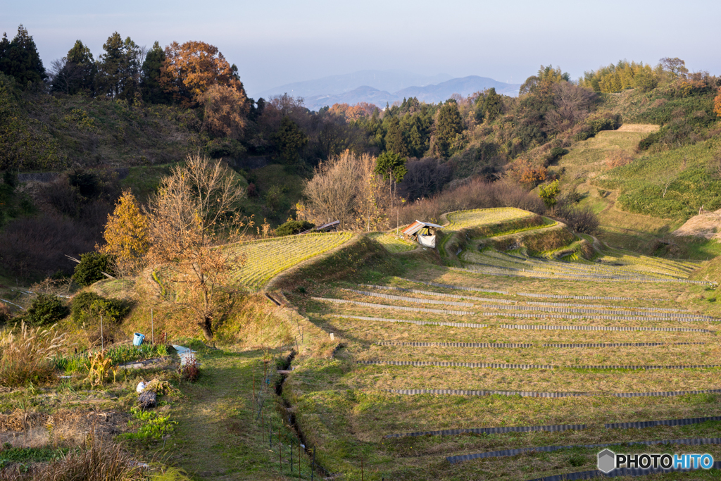 冬の棚田風景<1>