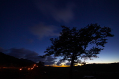 曽爾高原<その17>　灯篭と樹