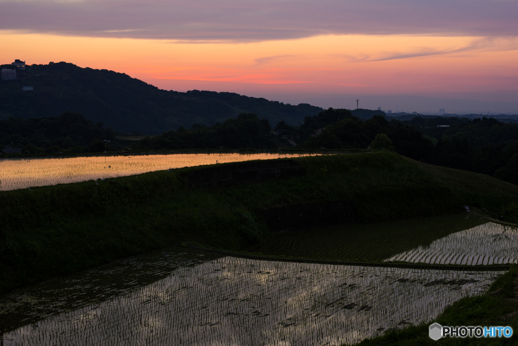 下赤坂棚田夕景<5>