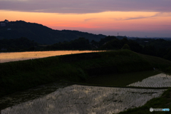 下赤坂棚田夕景<5>