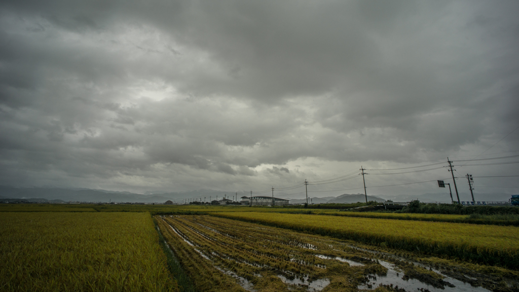 電柱と雲