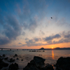 夕日に舞う