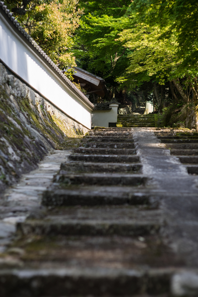 参道