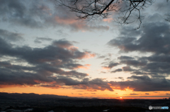 羽曳野中央霊園の夕景<9>