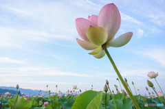 決起集会